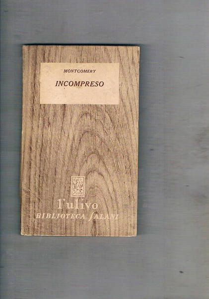 Incompreso. Romanzo.