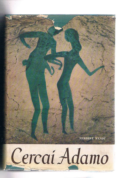 Cecasi Adamo.
