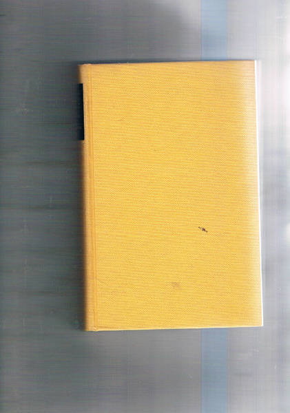 Un angelo arrabbiato. Traduz. di Adriana Pellegrini.