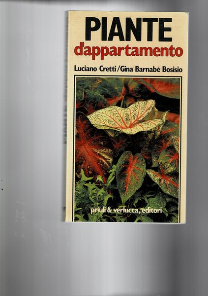 Piante d'appartamento.