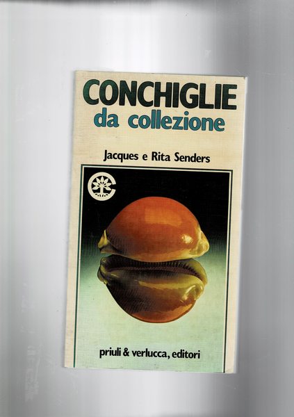 Conchiglie da collezione.