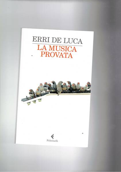 La musica provata.