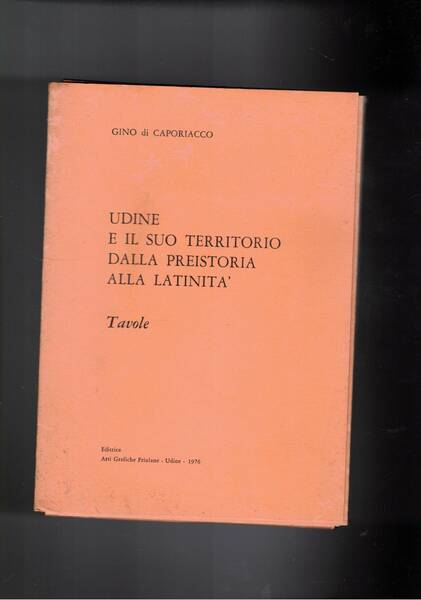 Udine e il suo territorio dalla preistoria alla latinità. Tavole.