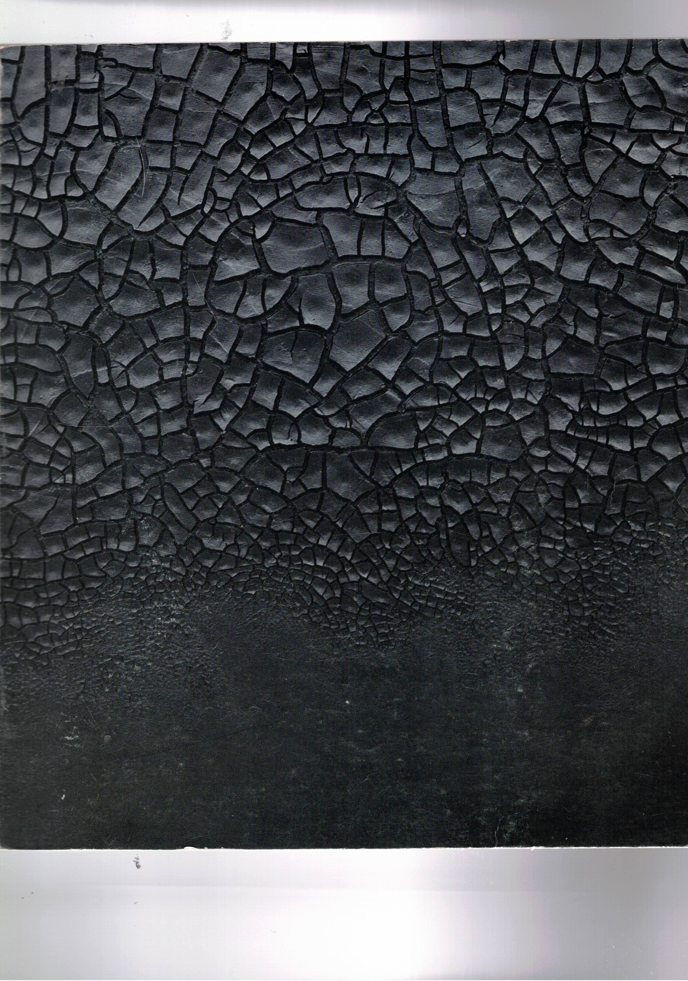 Alberto Burri. Catalogo dell'esposizione tenuta presso la Galleria Nazionale d'Arte …