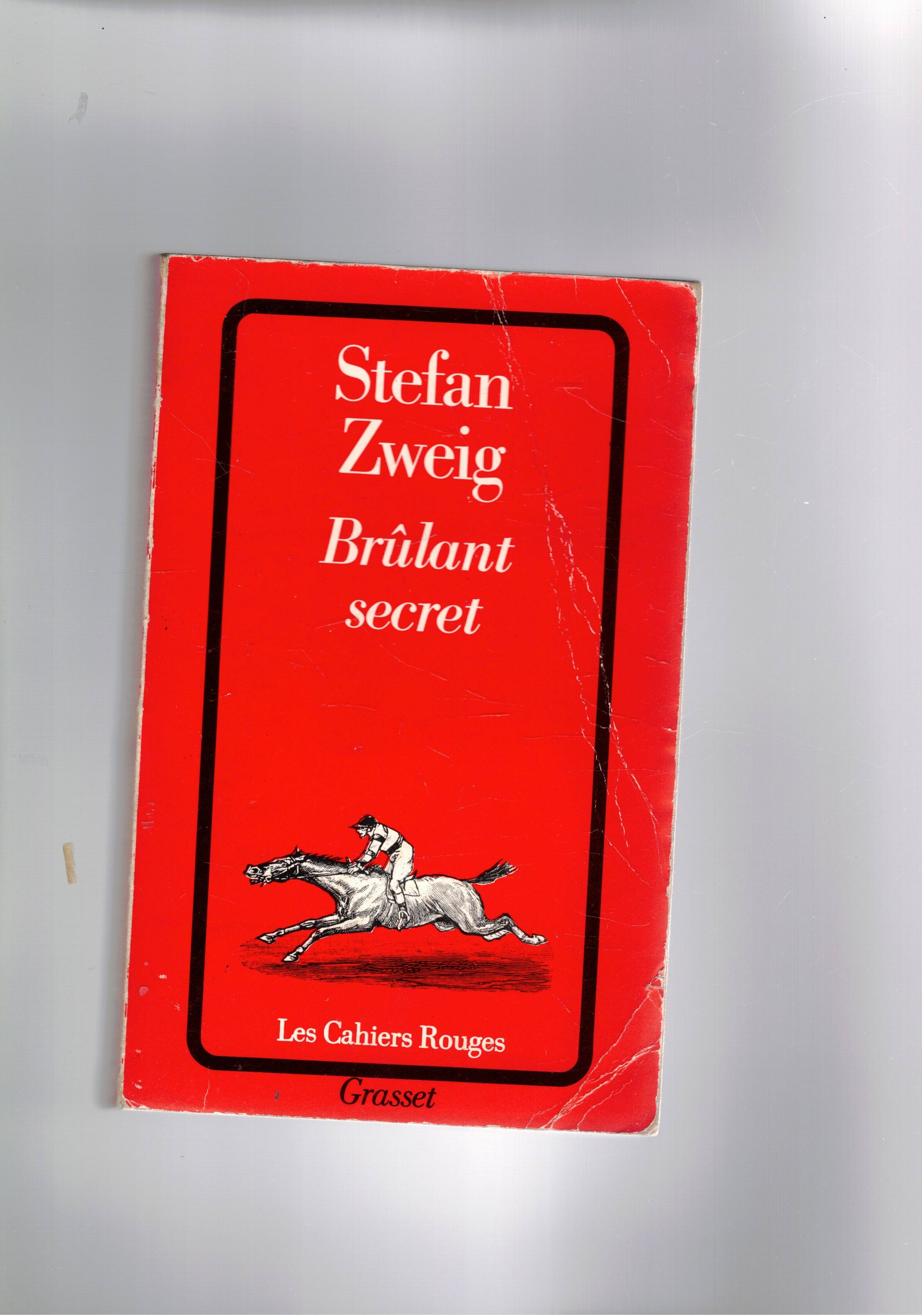 Brùlanr secret. Roman.
