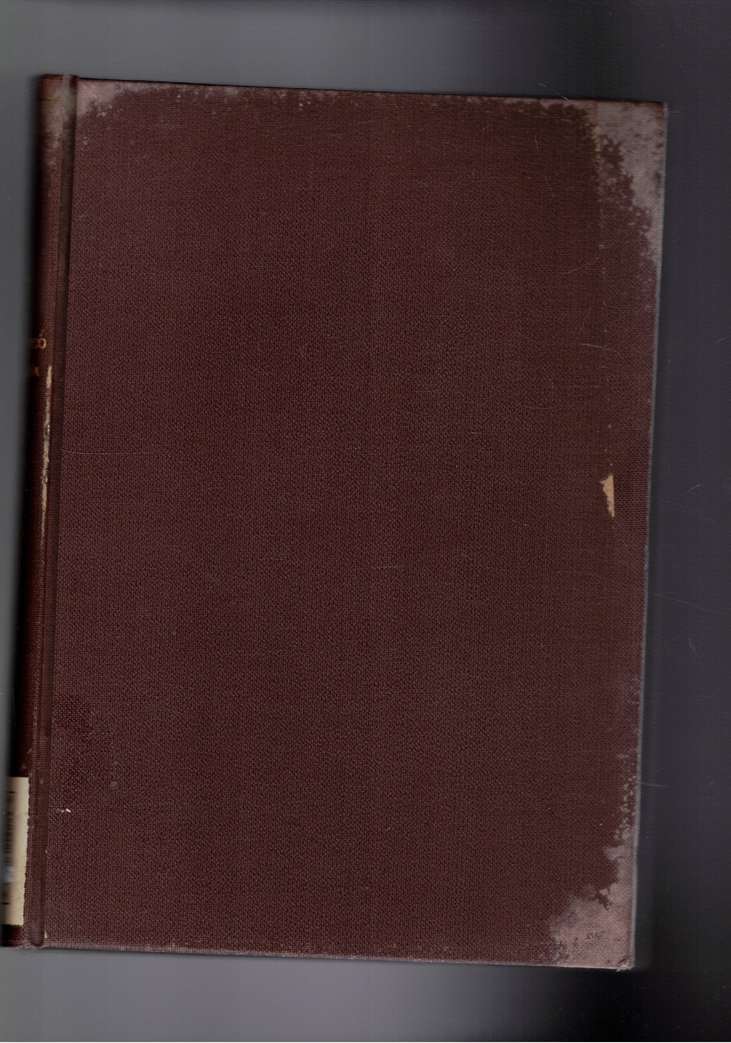 Il bel San Francesco di Bologna. La sua storia.