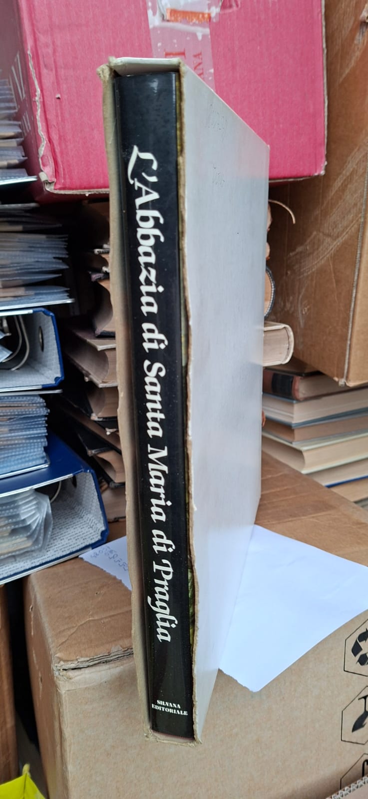 L'Abbazia santa Maria di Praglia.