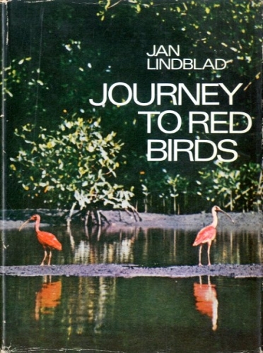 Journey to red birds.