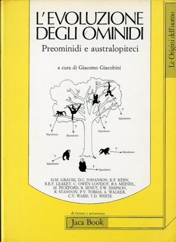 L'evoluzione degli ominidi.