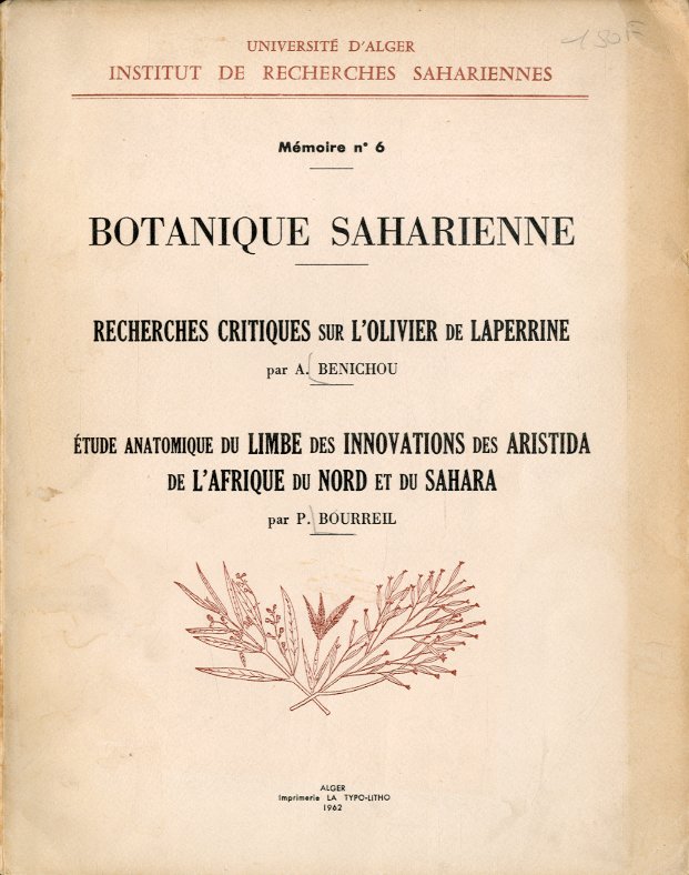 Botanique saharienne.