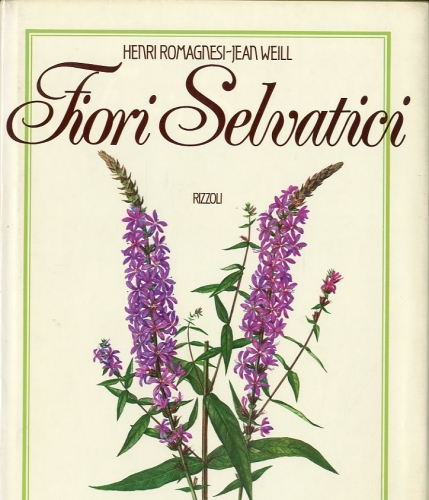 Fiori selvatici.