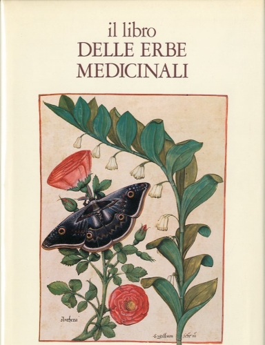 Il libro delle erbe medicinali.