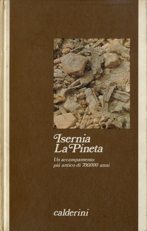 Isernia. La Pineta.