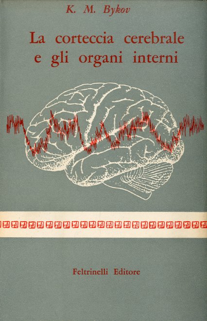 La corteccia cerebrale e gli organi interni.
