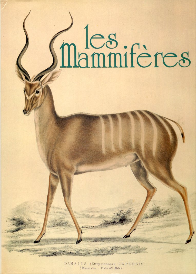 Les mammiferes.