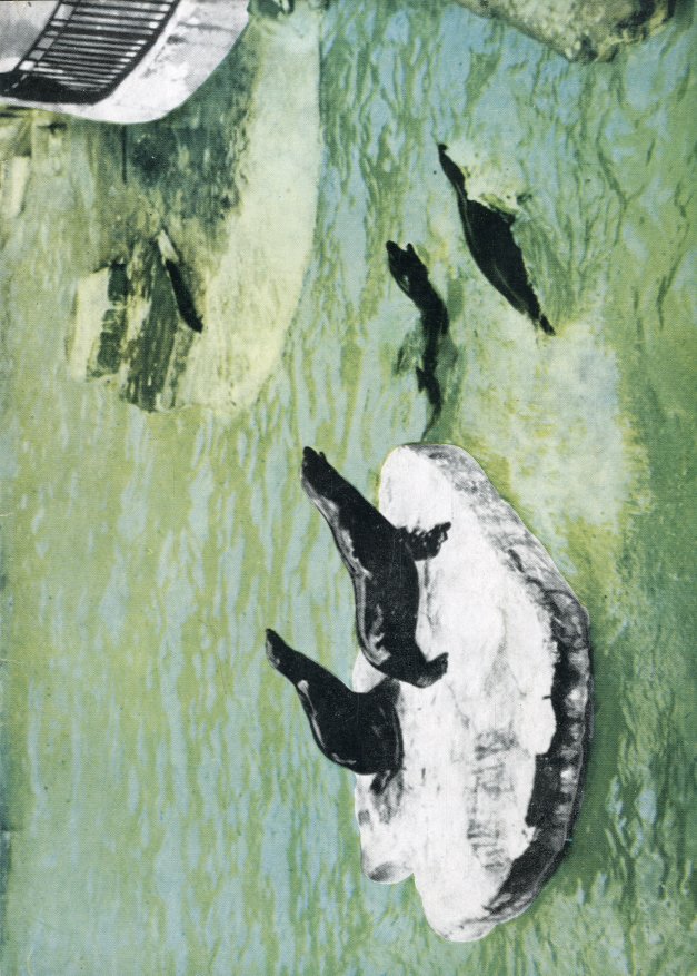 ott 30 danze-costruzioni. ott 31 danze e altri pezzi di …