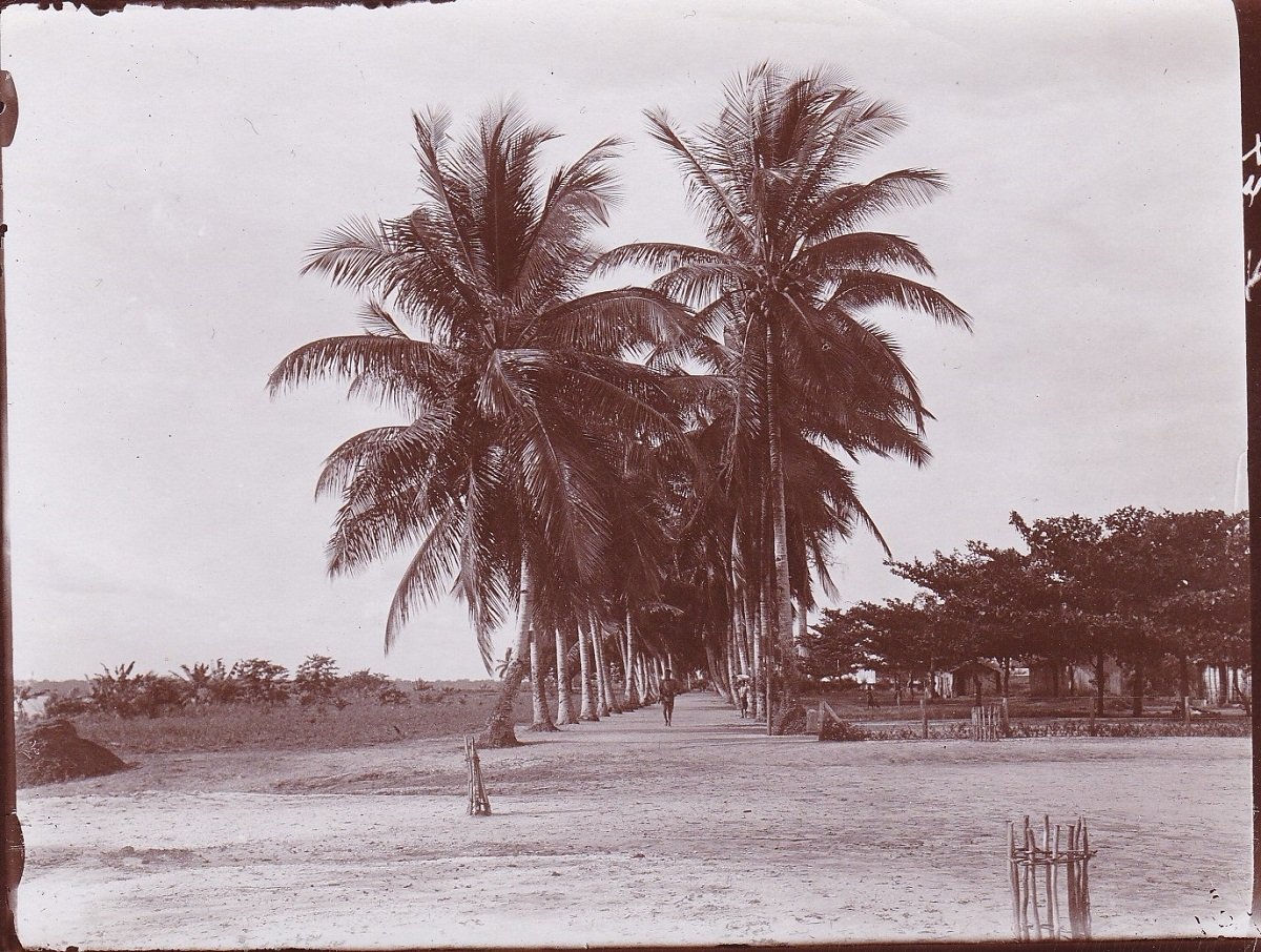 10 Original-Photographien aus der deutschen Kolonialzeit in Afrika.