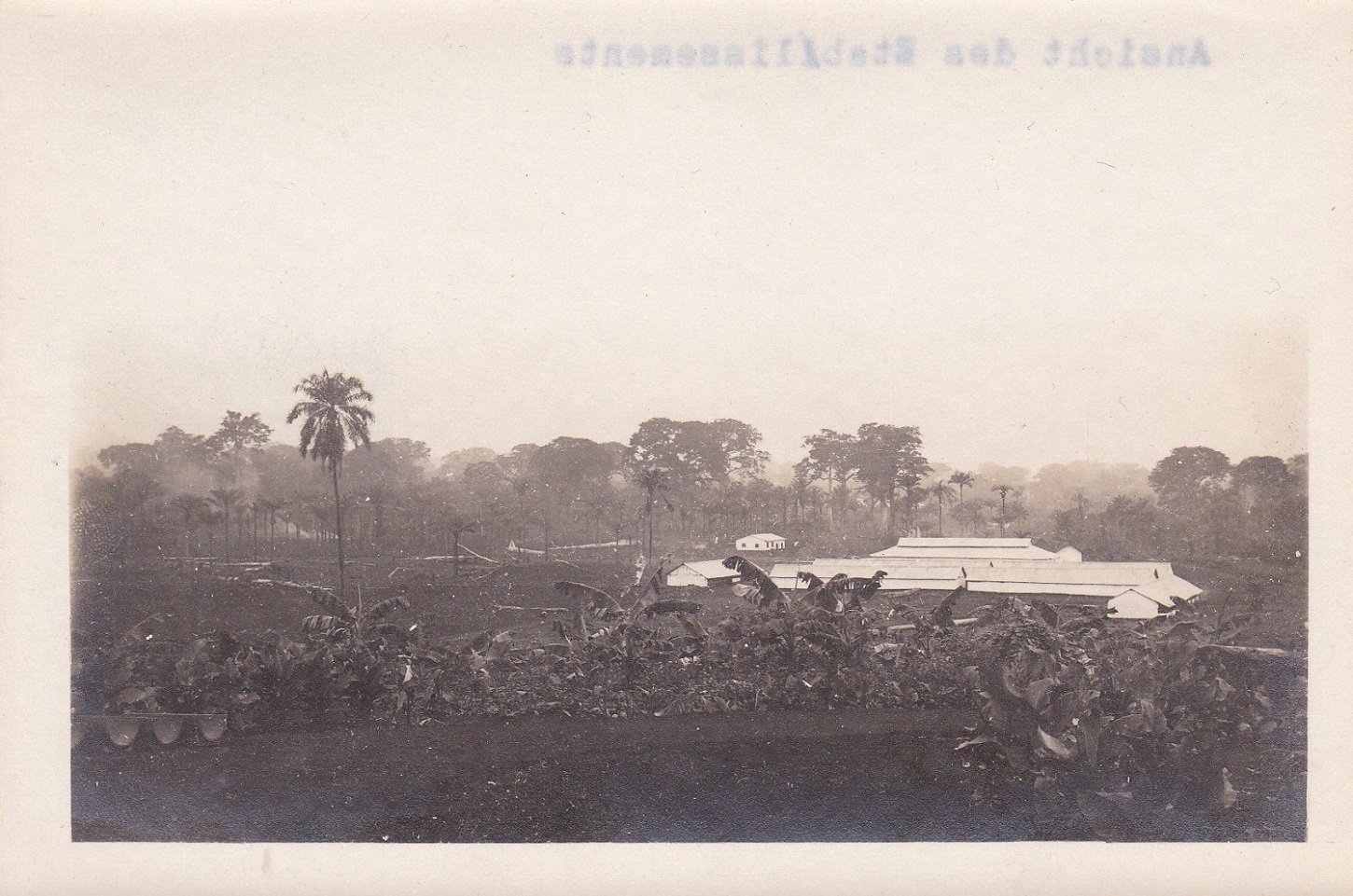 8 Original-Photographien aus der deutschen Kolonialzeit in Kamerun.