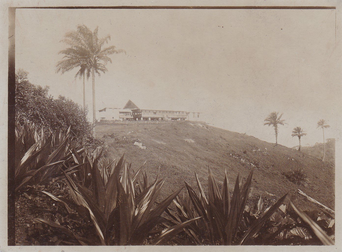 9 Original-Photographien aus dem ehemals deutschen Kolonialgebiet in Kamerun.