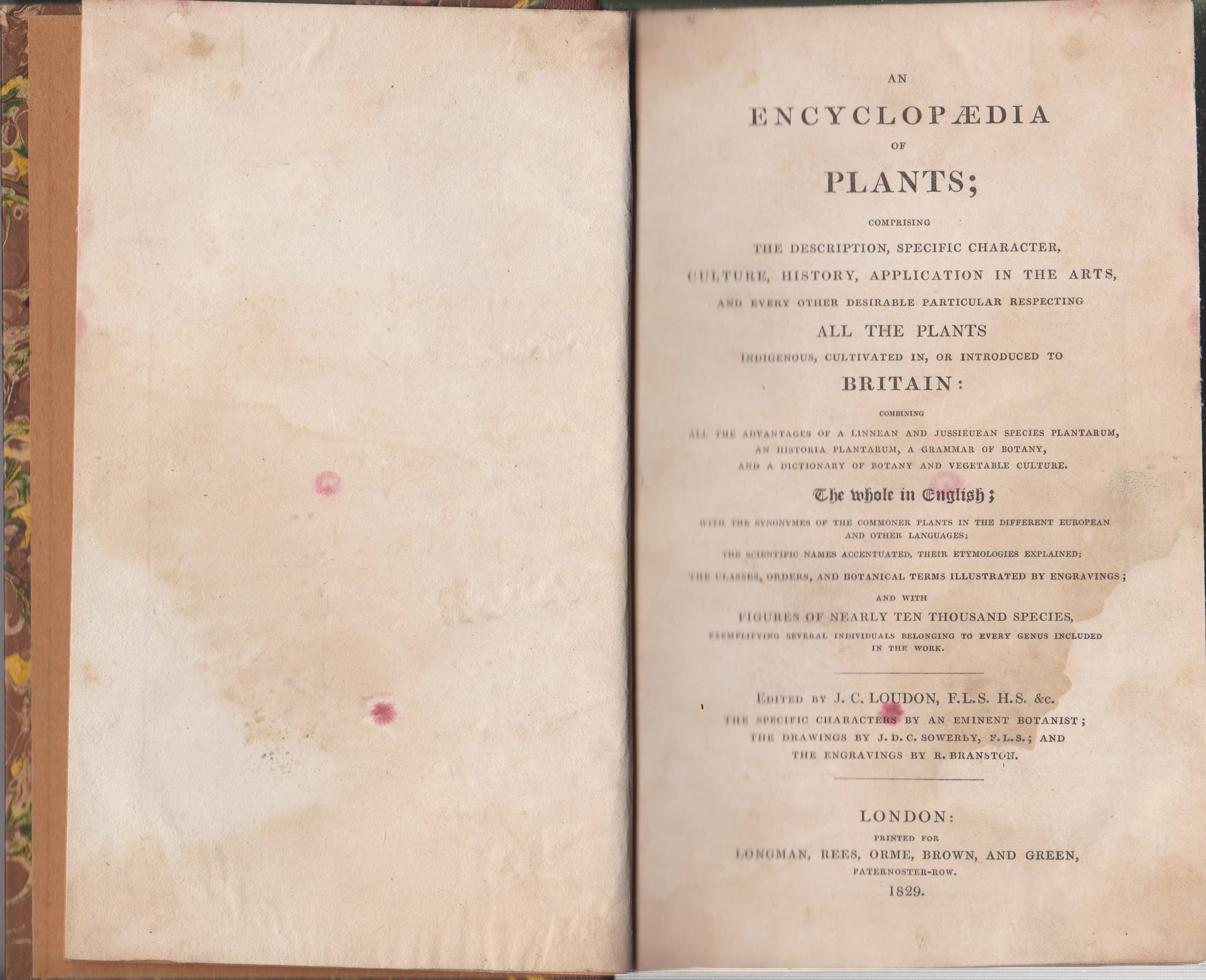 An Encyclopaedia of Plants; Comprising the Description, Specific Character, Culture, …