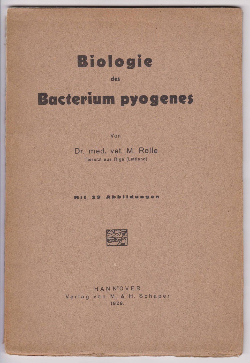 Biologie des Bacterium pyogenes.