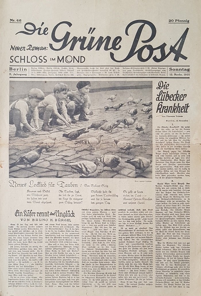 Die Grüne Post. Sonntag, 15. November 1931.