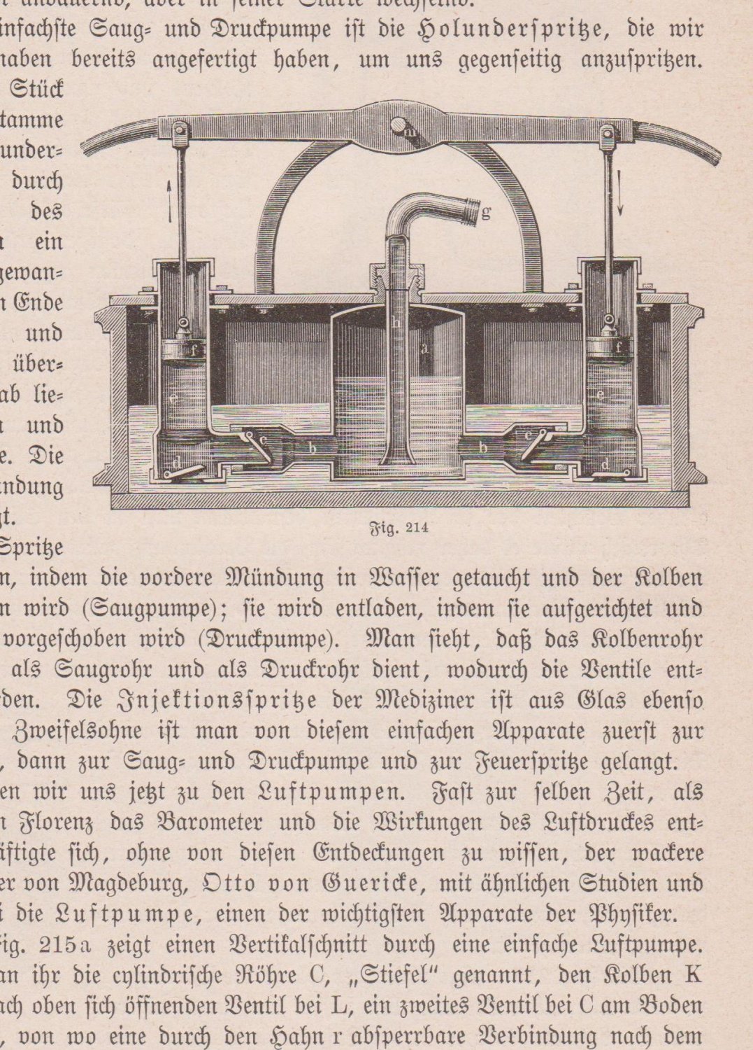 Die Physik des täglichen Lebens.