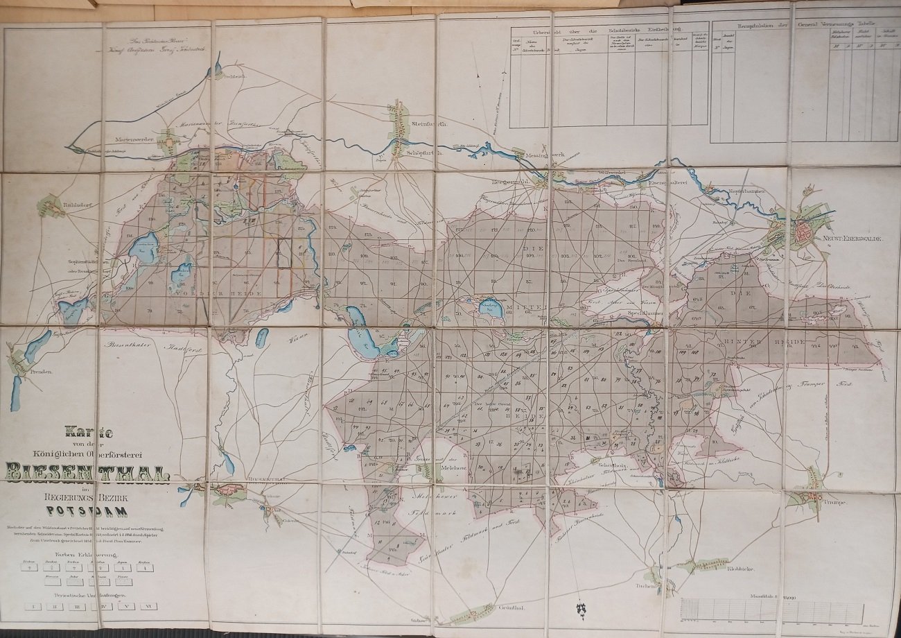 Karte von der Königlichen Oberförsterei Biesenthal im Regierungsbezirk Potsdam. M …