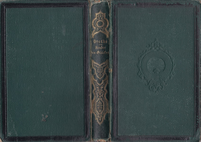 Kinder des Glückes. Zeitgeschichtlicher Roman.