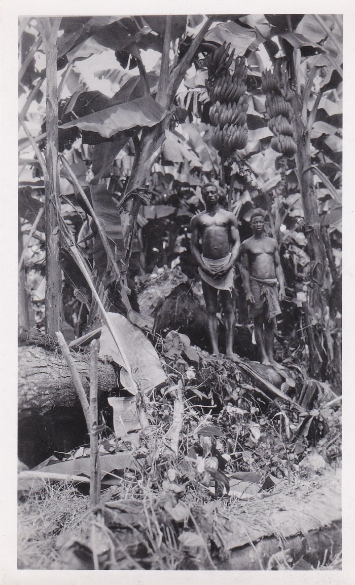 Original-Photographie von der Bananenpflanzung in Kamerun.