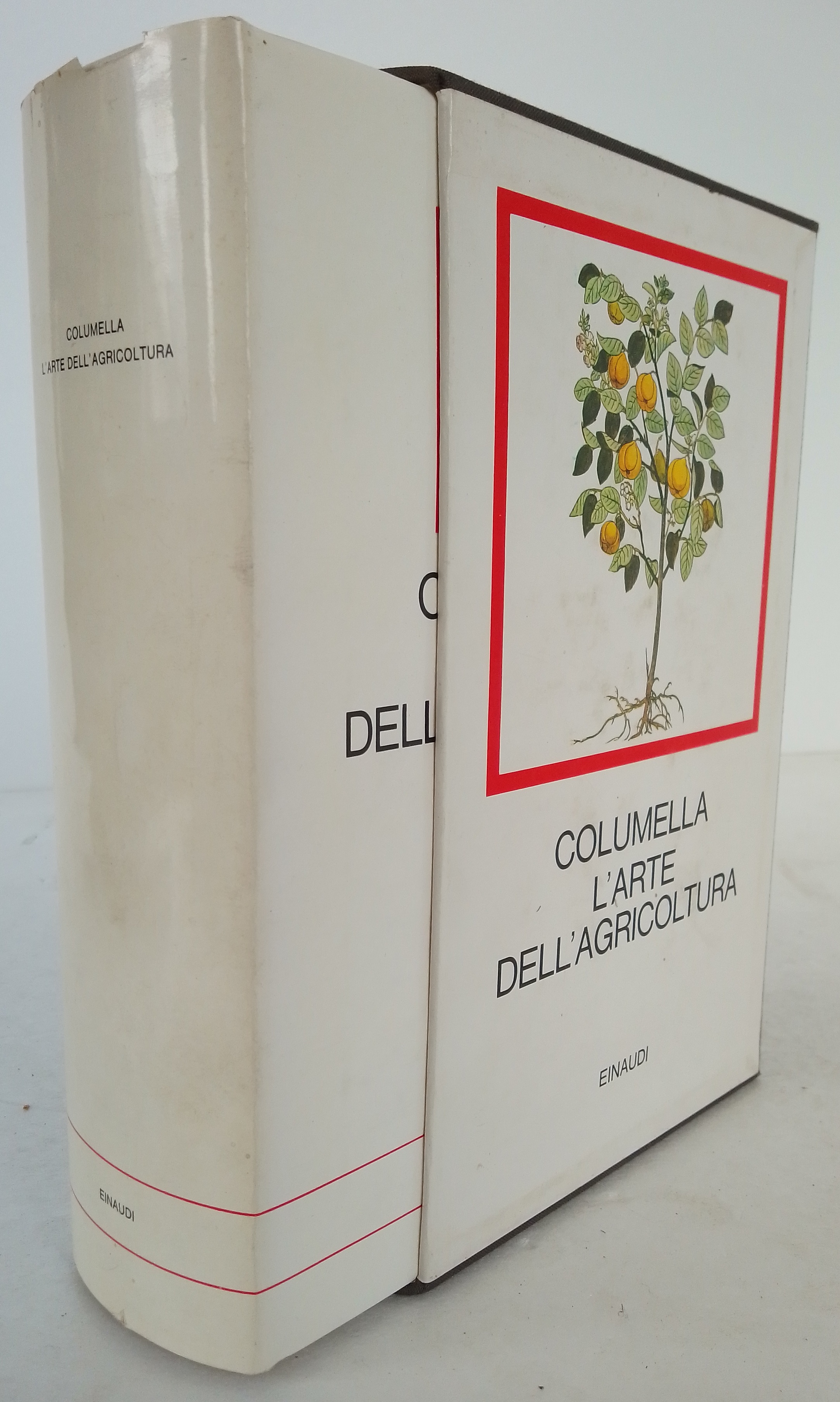 L'ARTE DELL'AGRICOLTURA