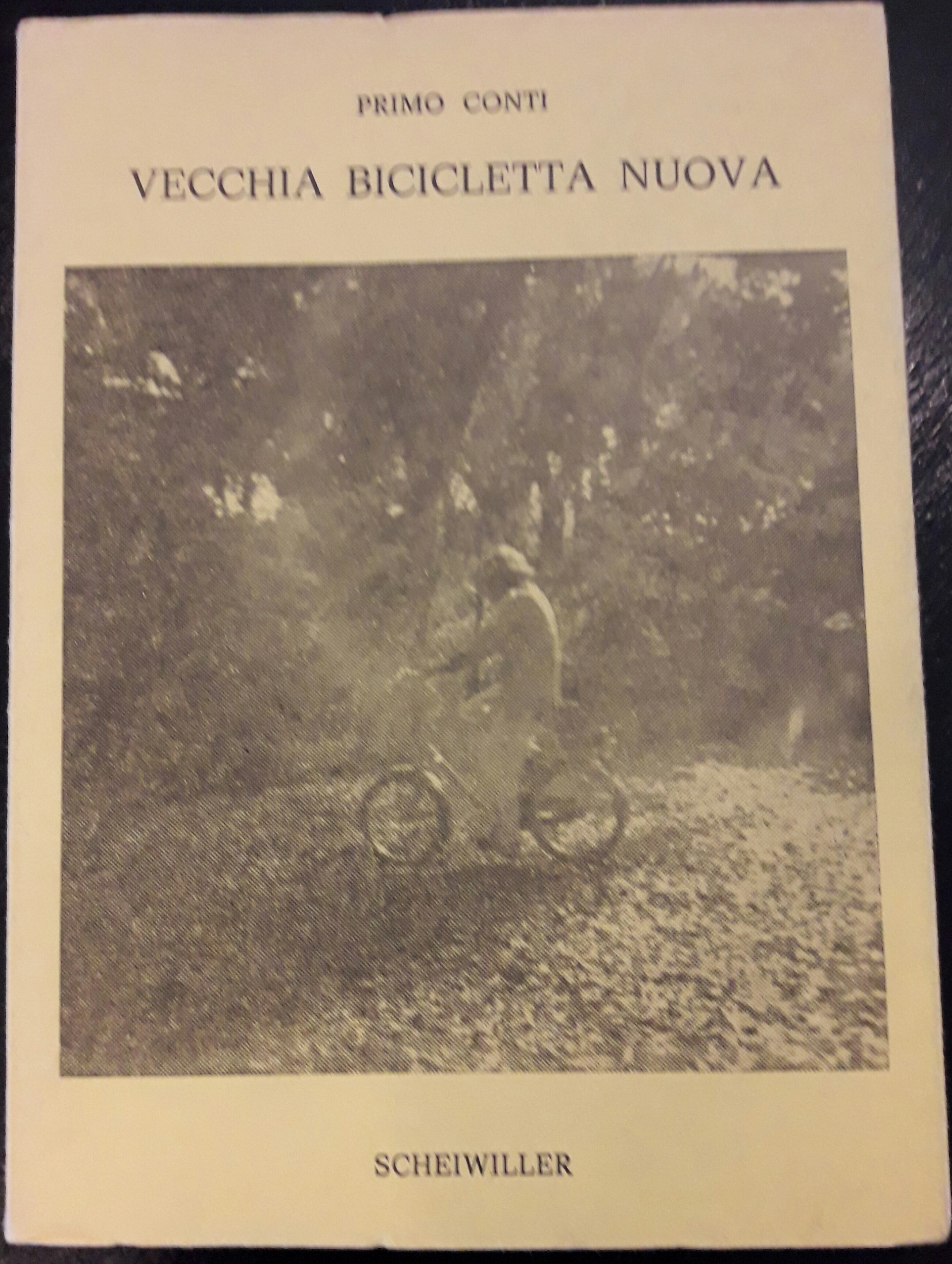 Vecchia bicicletta nuova