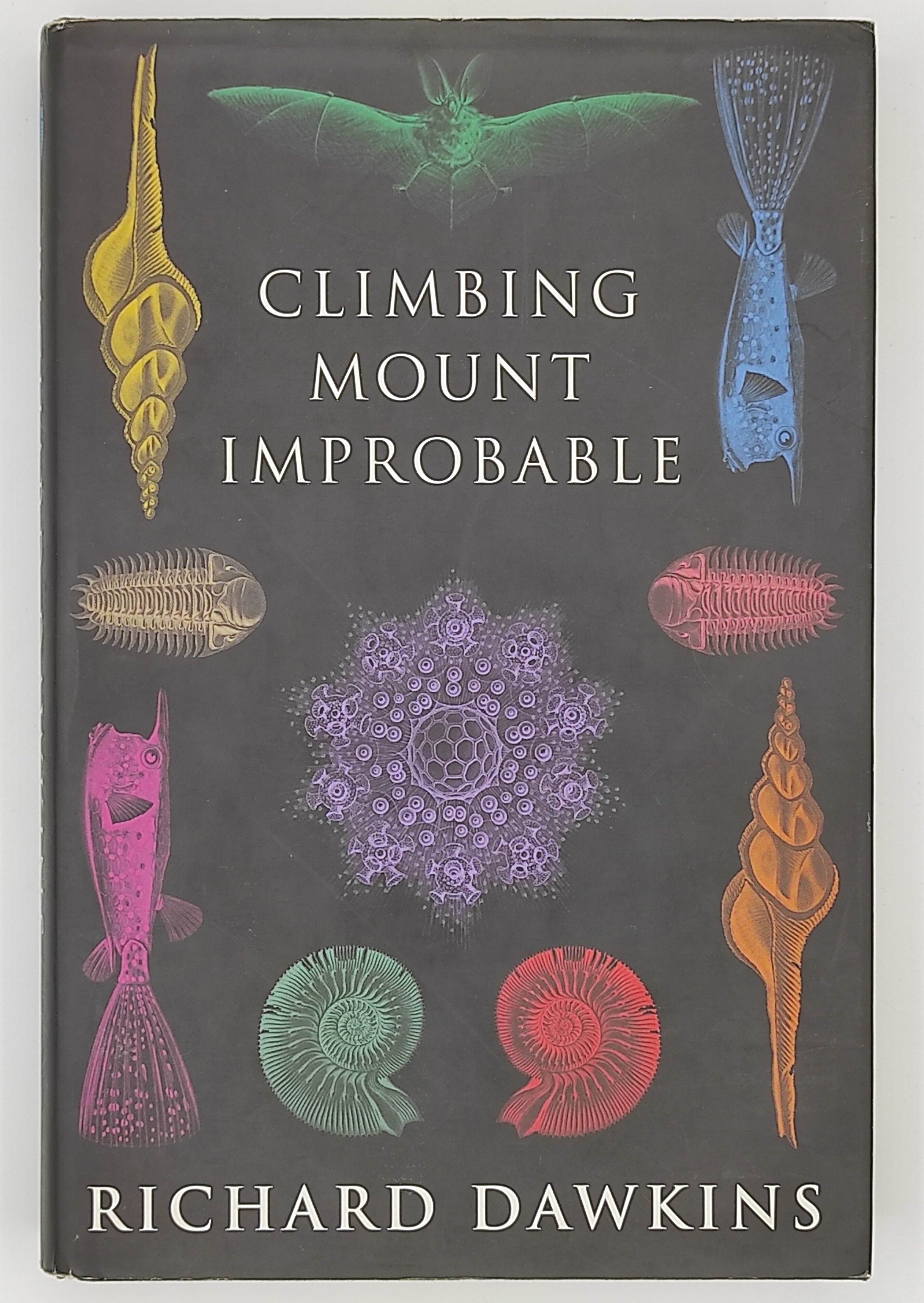 Climbing mount improbable