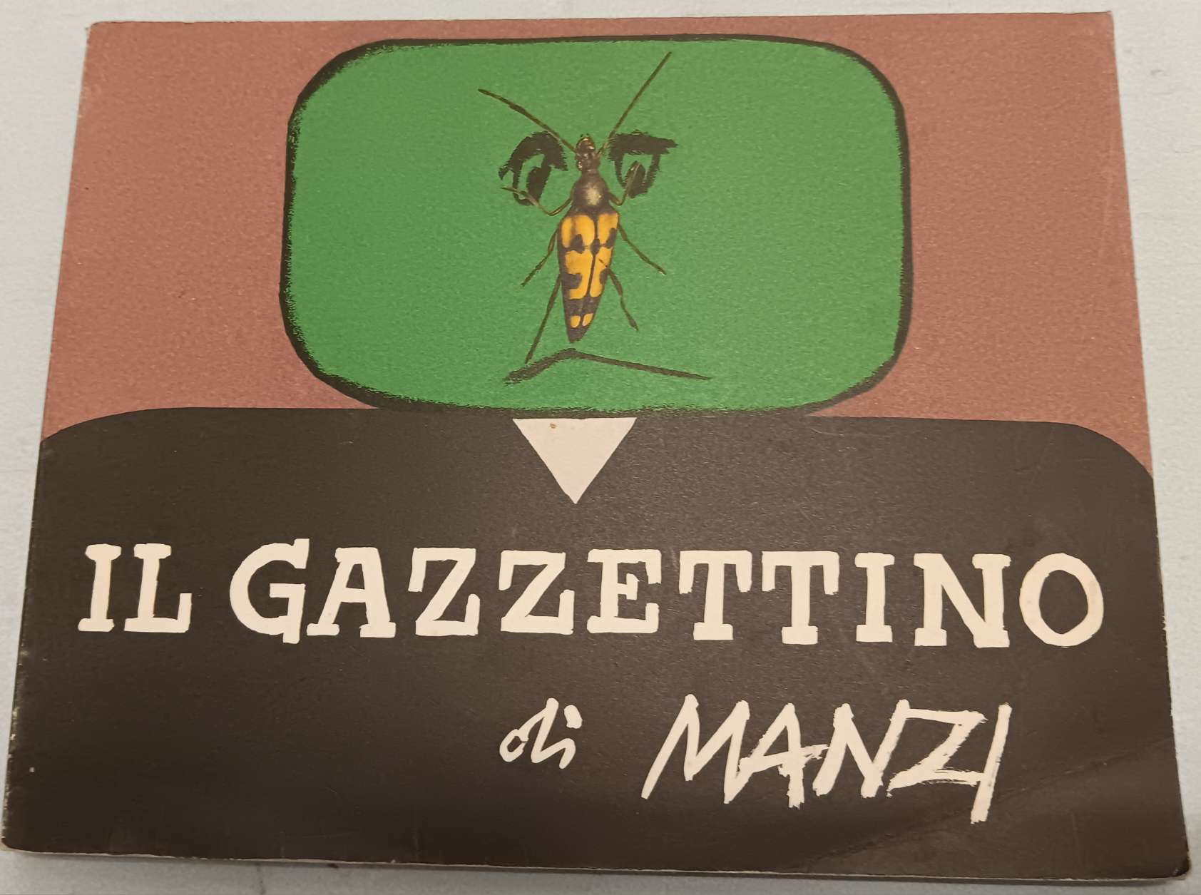 Il Gazzettino di Manzi.