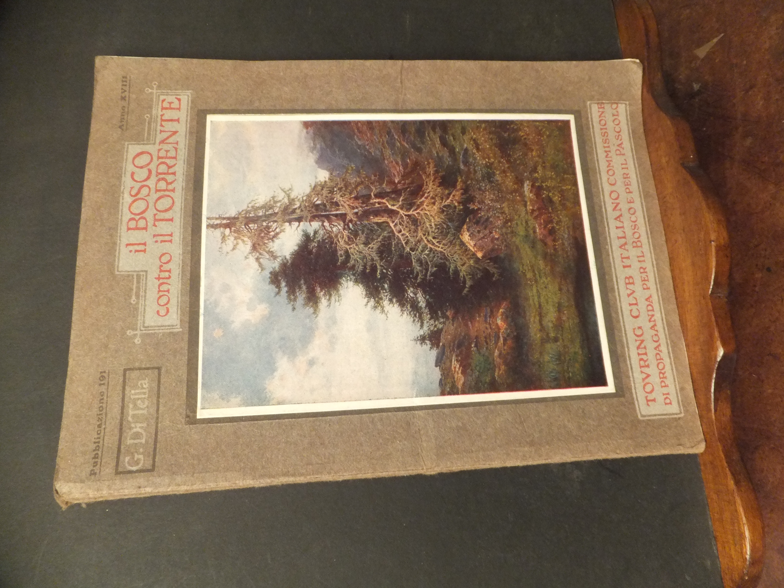 IL BOSCO CONTRO IL TORRENTE