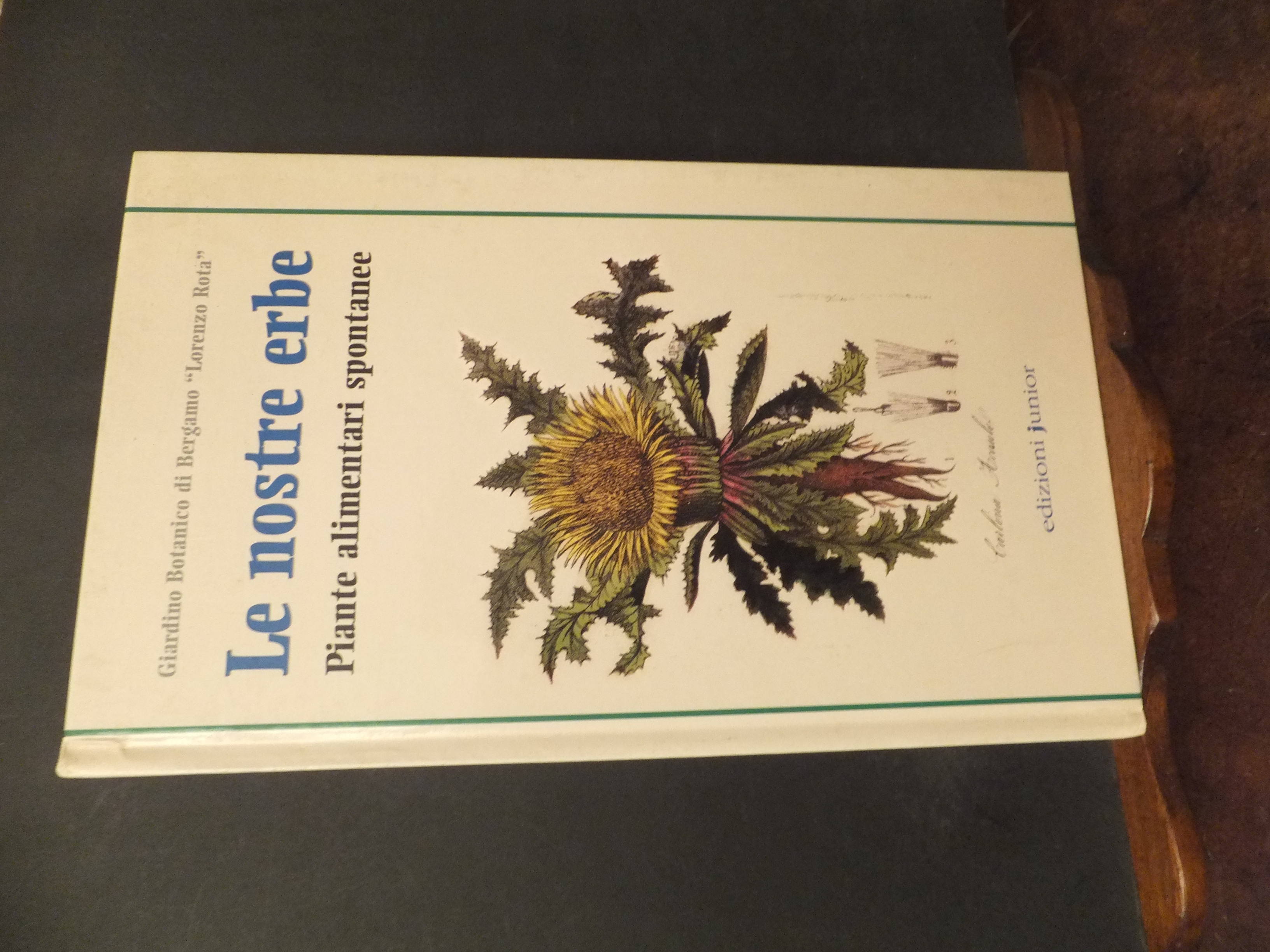 LE NOSTRE ERBE PIANTE ALIMENTARI SPONTANEE -GIARDINO BOTANICO DI BERGAMO …