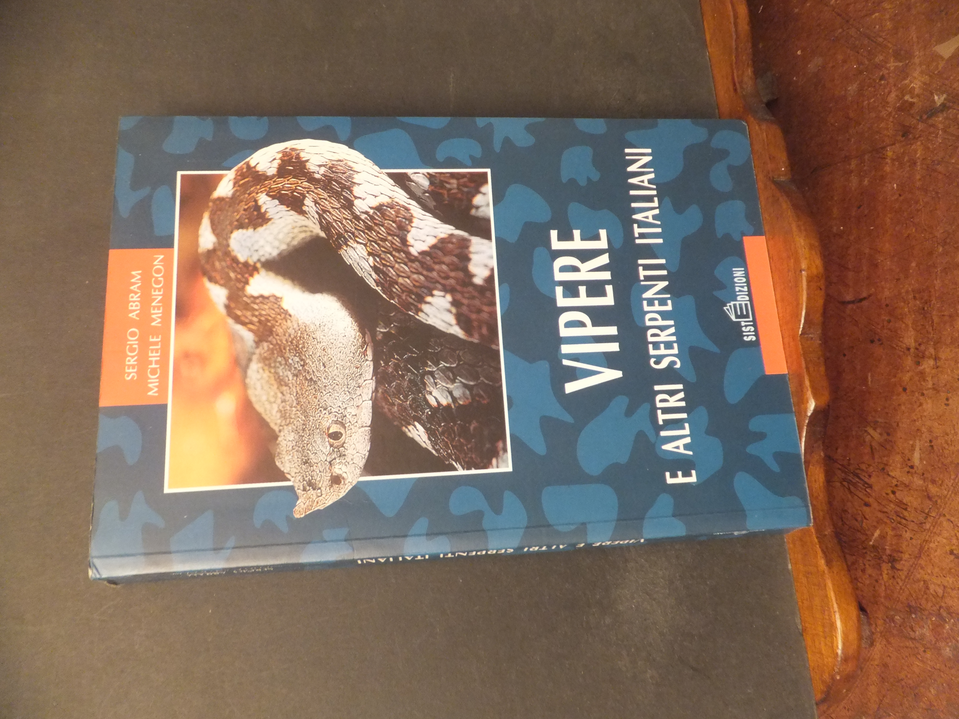 VIPERE E ALTRI SERPENTI ITALIANI