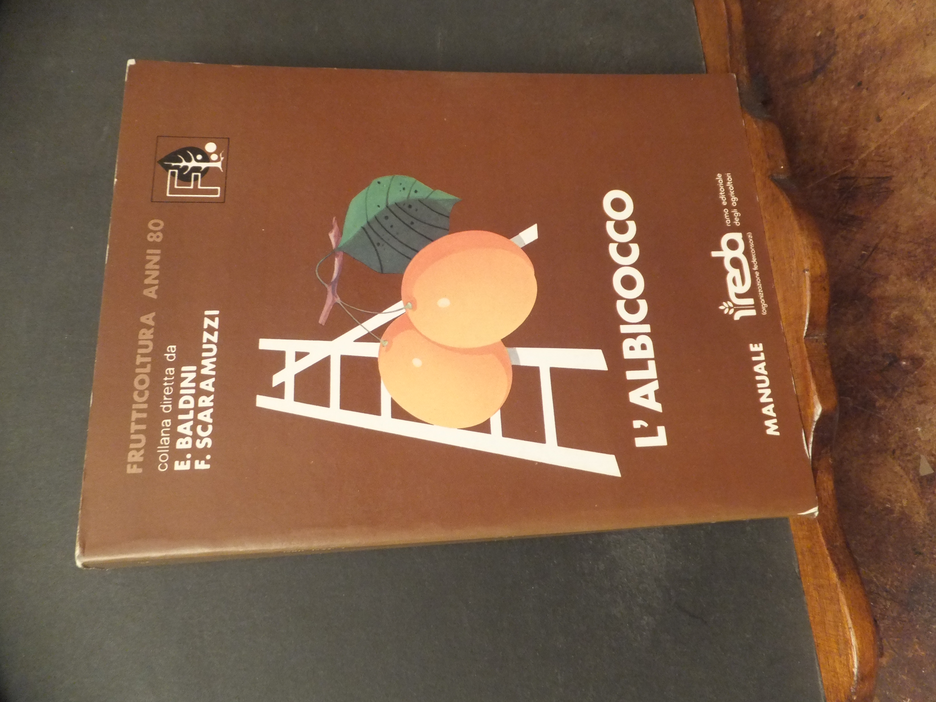 L'ALBICOCCO MANUALE REDA