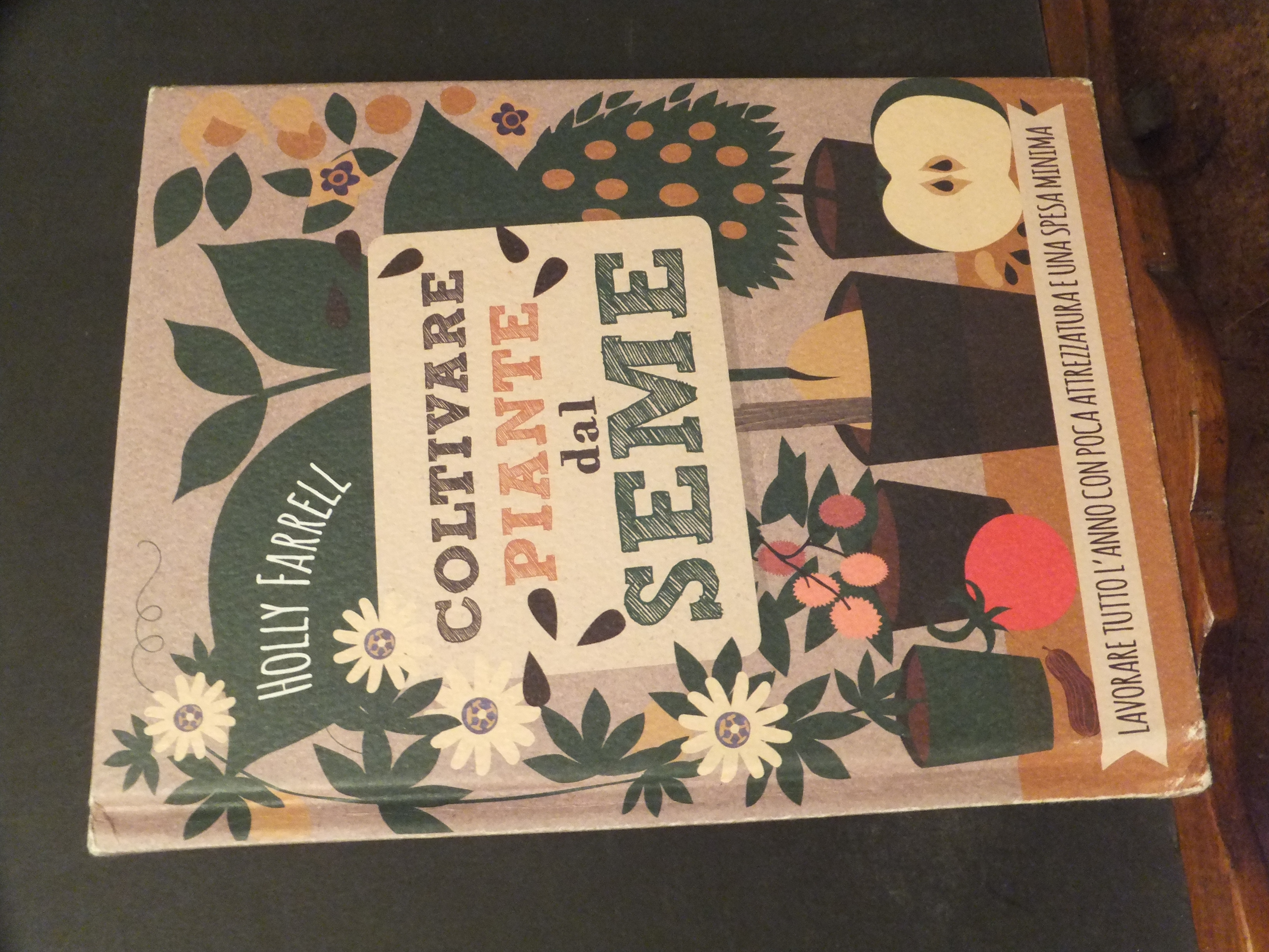 COLTIVARE PIANTE DAL SEME