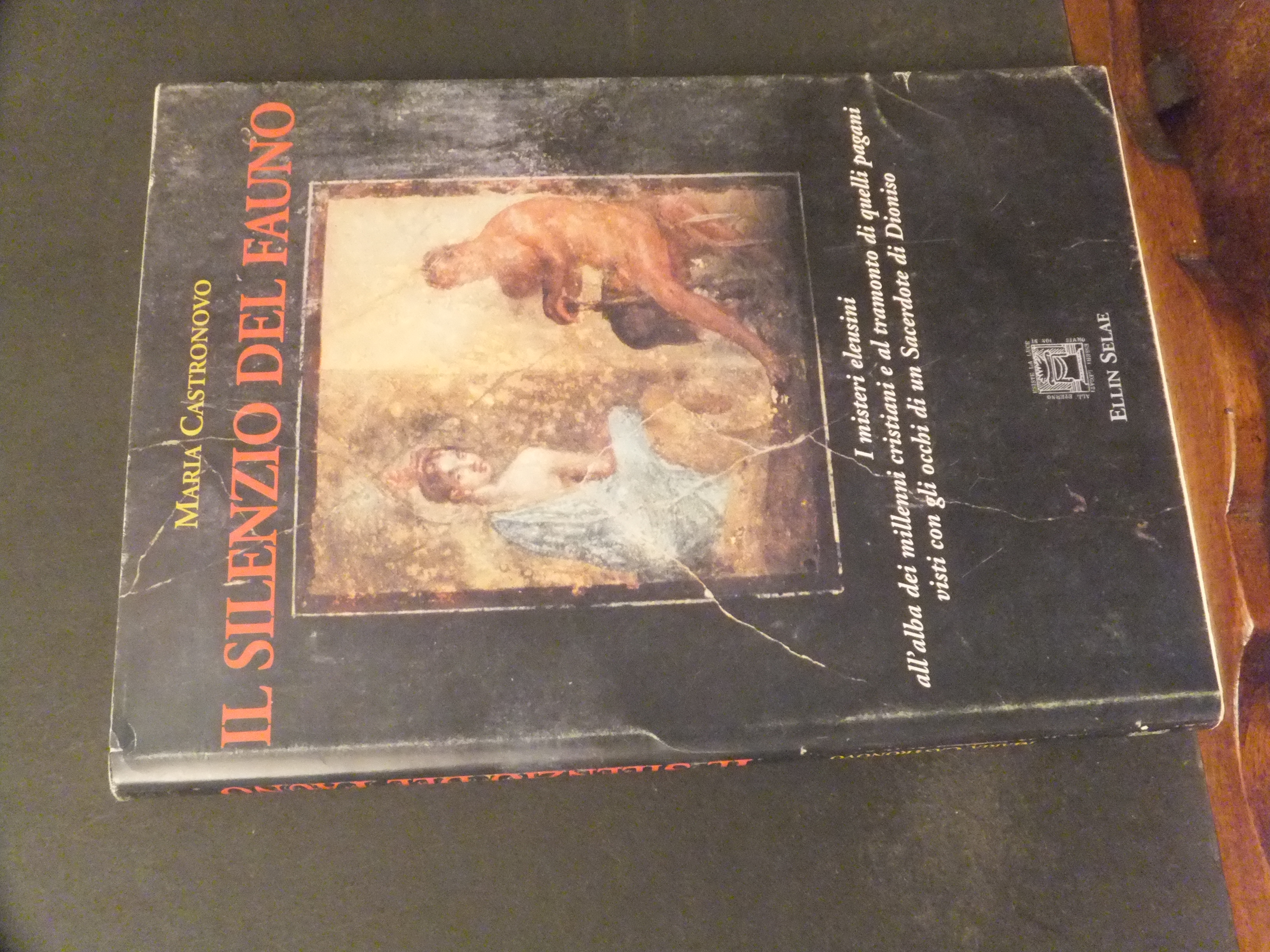 IL SILENZIO DEL FAUNO