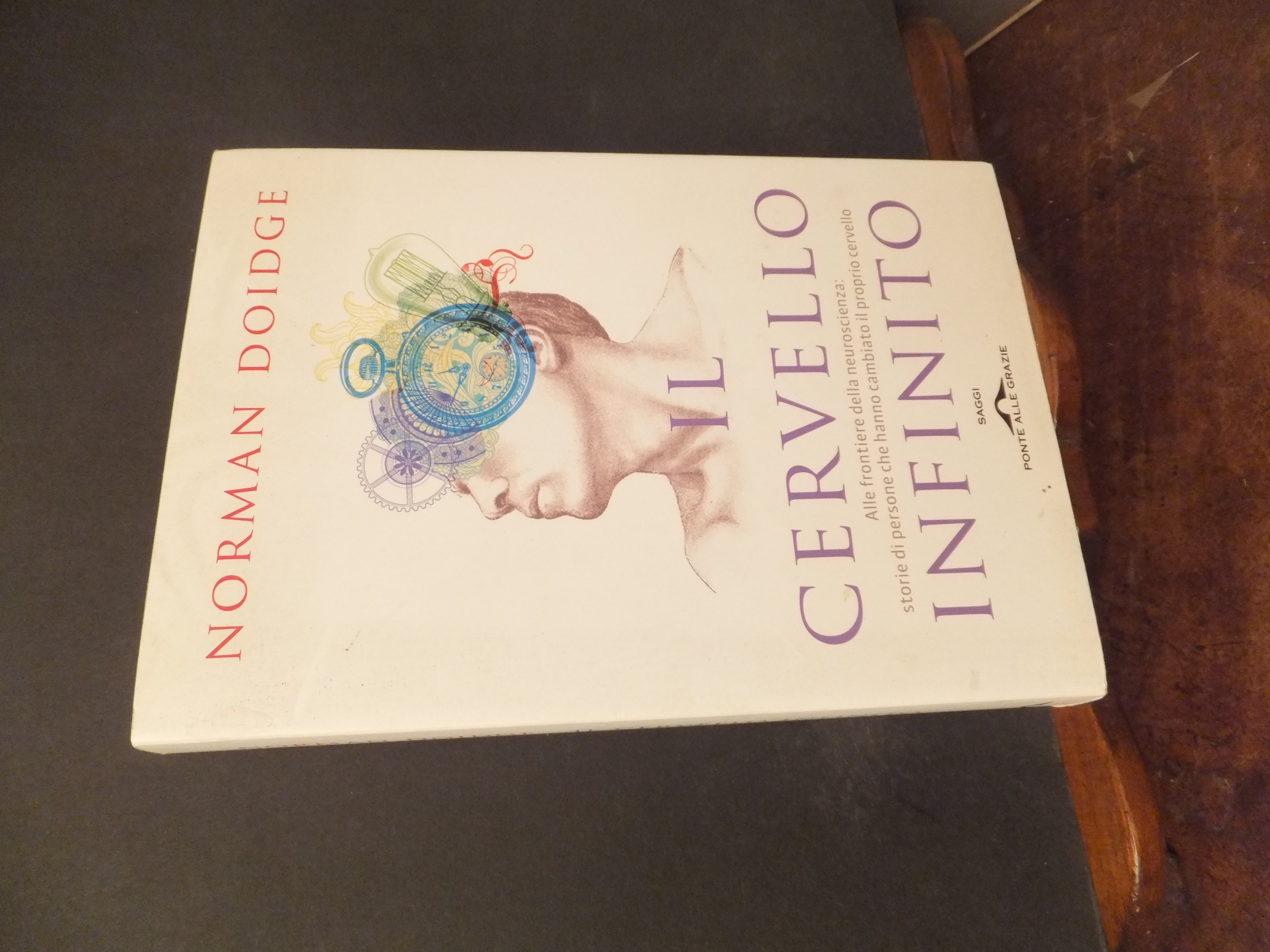 IL CERVELLO INFINITO