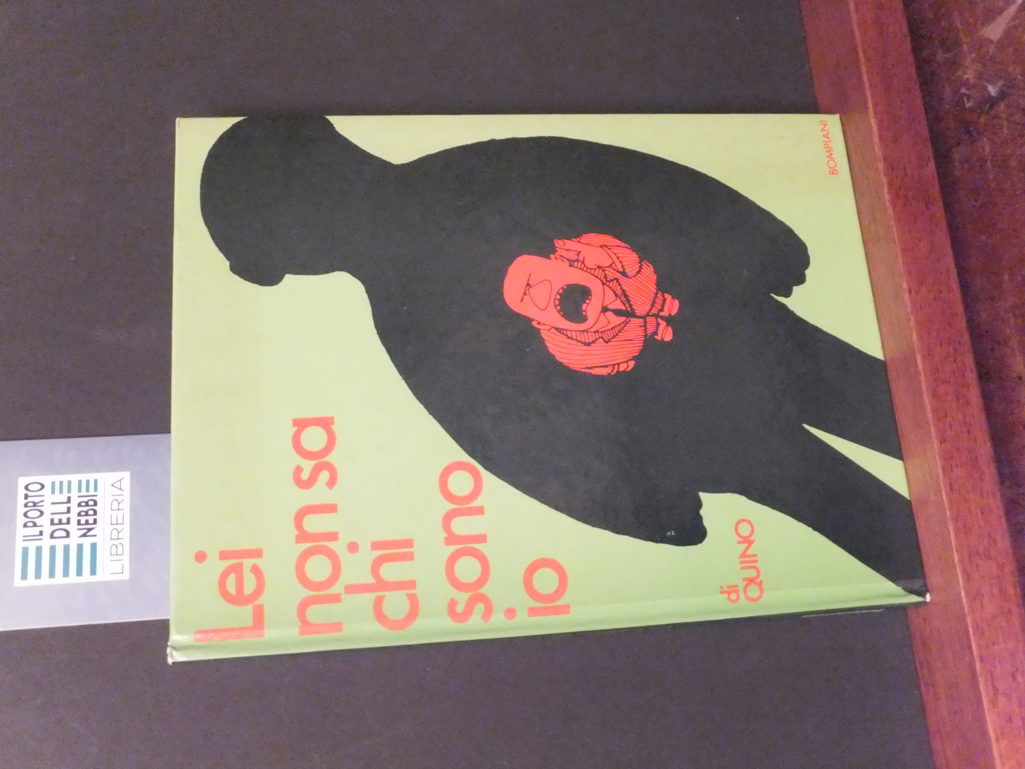 LEI NON SA CHI SONO IO