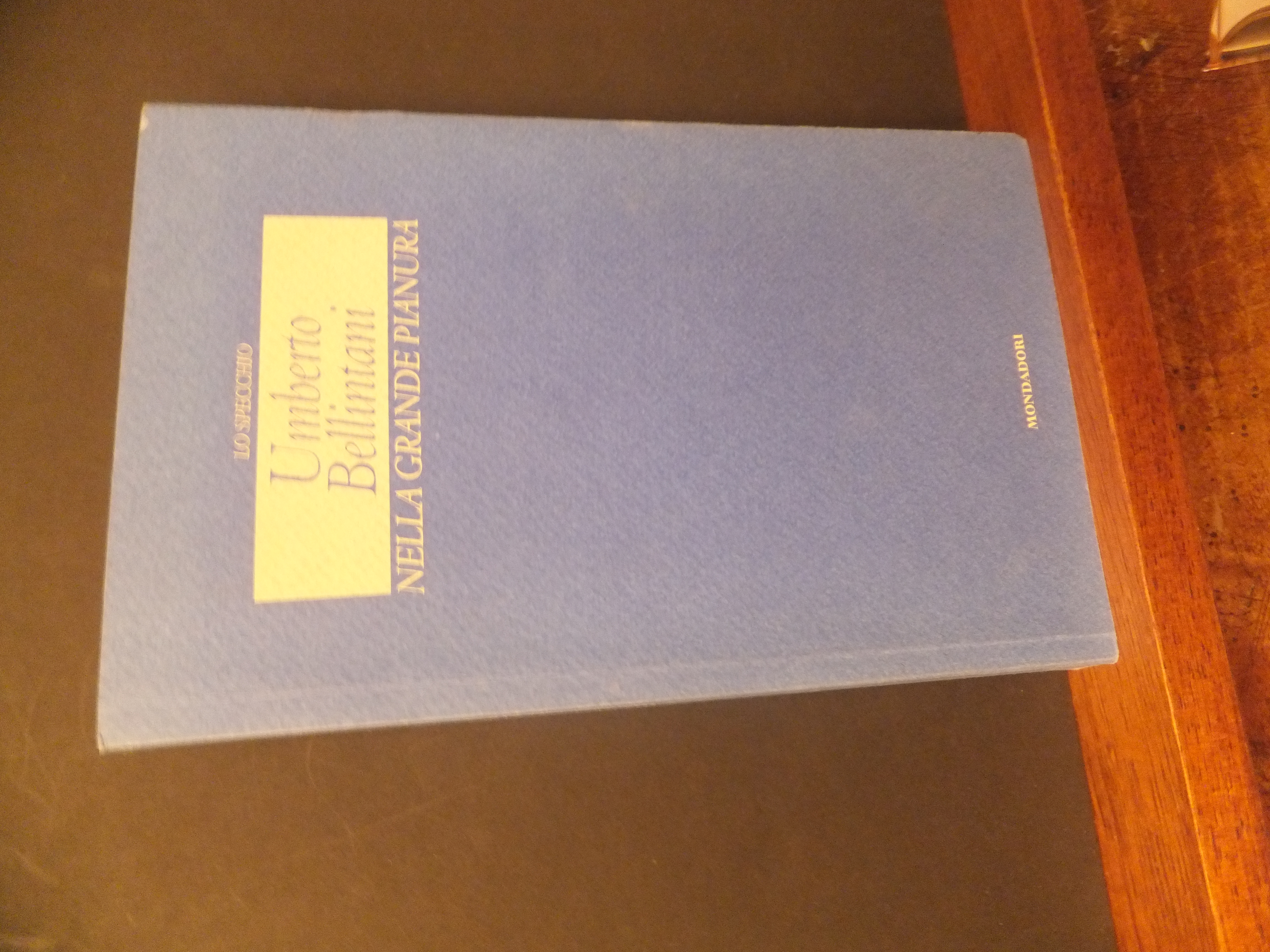 NELLA GRANDE PIANURA