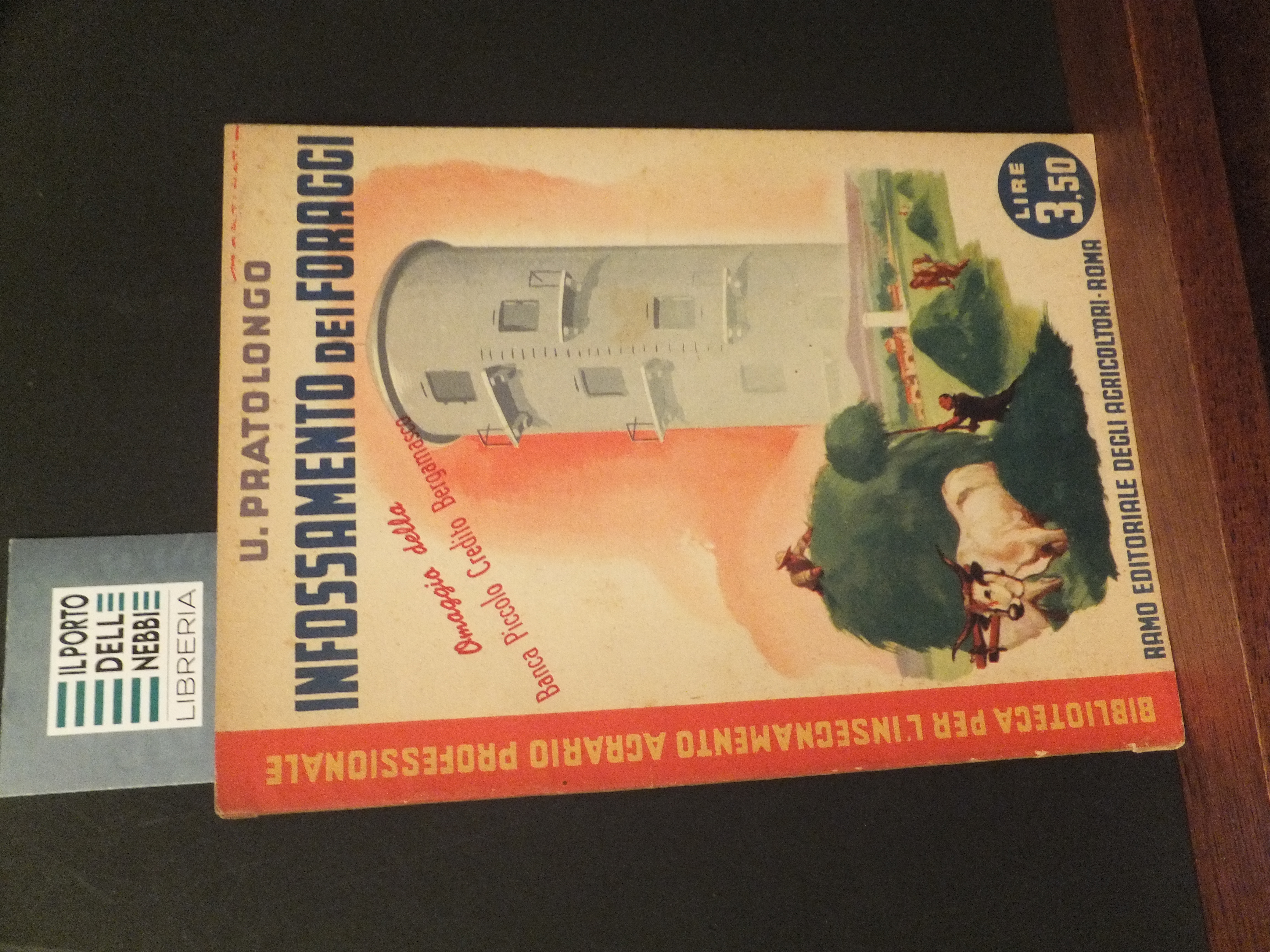 INFOSSAMENTO DEI FORAGGI