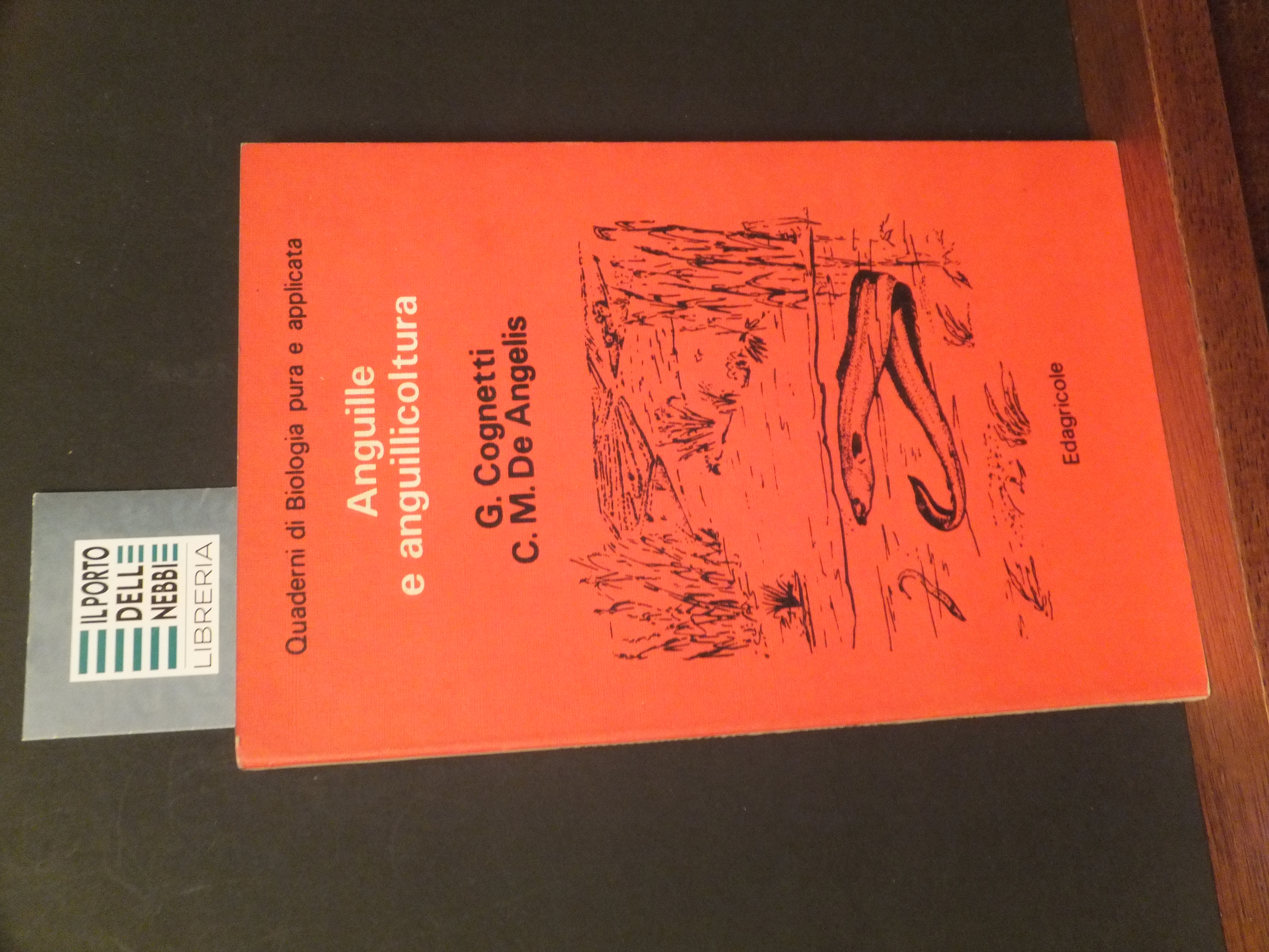 ANGUILLE E ANGUILLICOLTURA