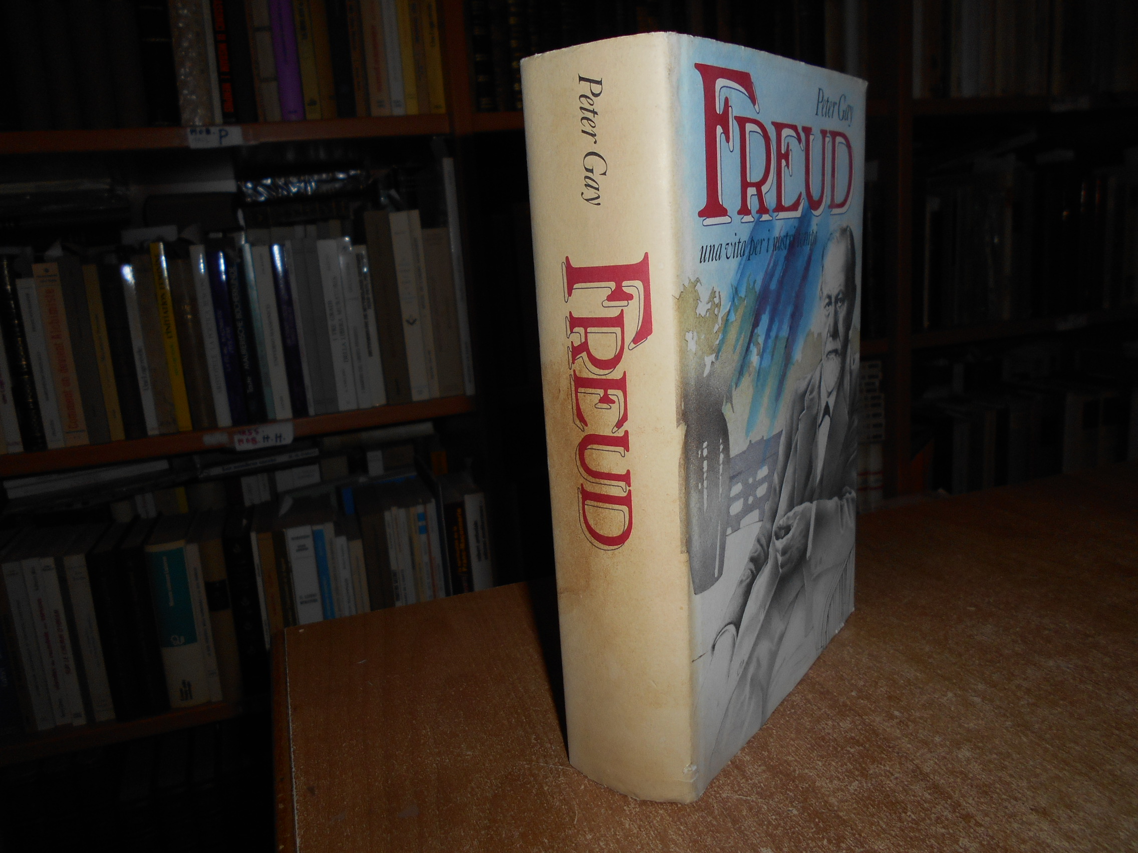 FREUD una vita per i nostri tempi. PETER GAY 1988