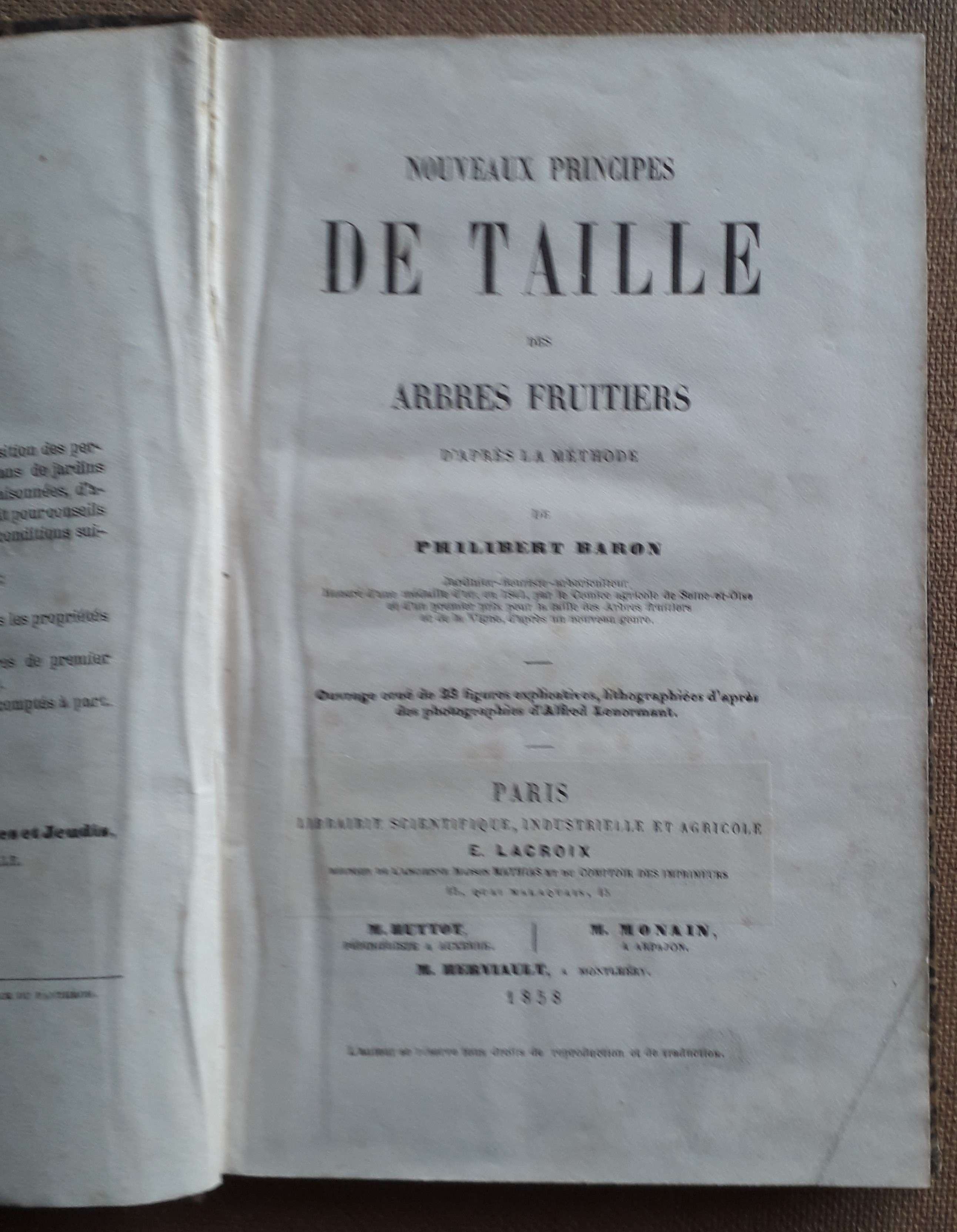 Nouveaux principes de taille des arbres d'apres la methode de …