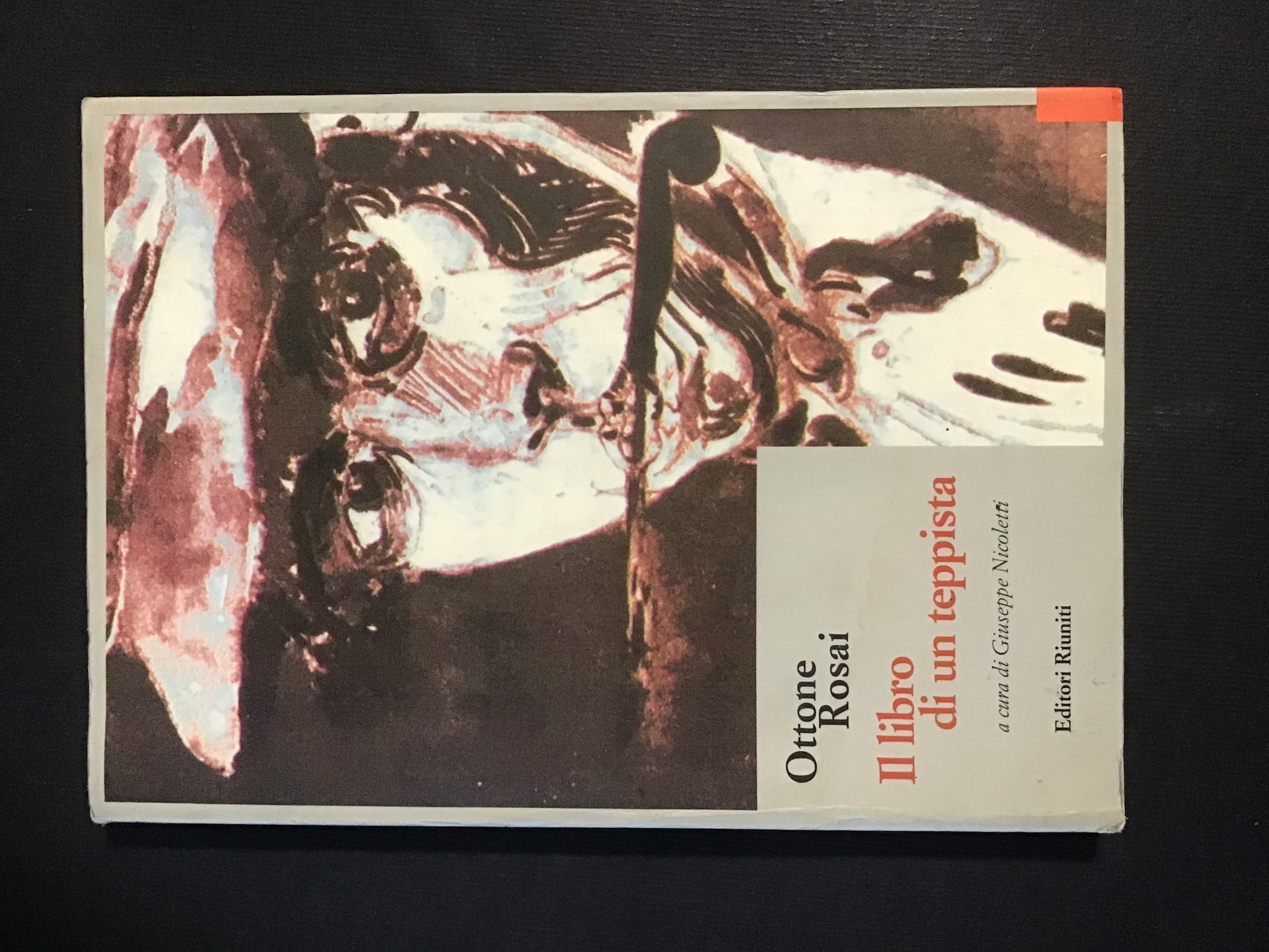 IL LIBRO DI UN TEPPISTA