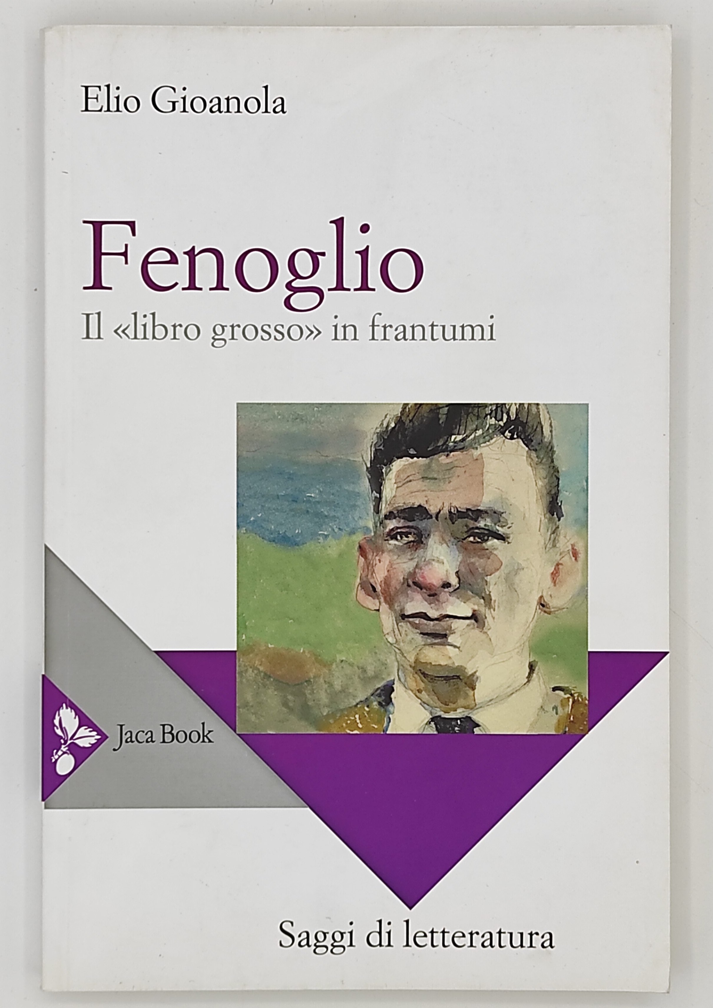 Fenoglio. I libro grosso in frantumi