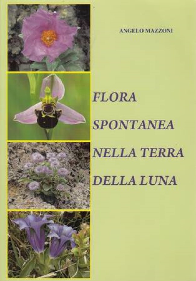 Flora spontanea nella terra della luna